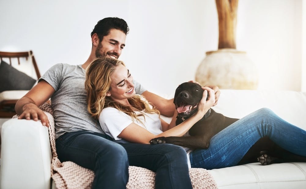 Smiling happy couple lounging on the sofa with their dog